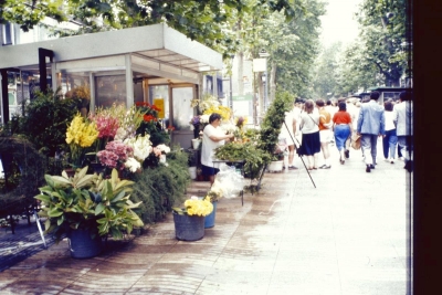 Terrori-isku tehtiin tällä Ramblas-kävelykadulla.