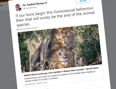 Tohtori Ezekiel Mutua on ilmaissut Twitterissäkin huolensa leijonien lajin säilymisestä, jos homoseksuaalinen käyttäytyminen leviää eläinten keskuudessa.