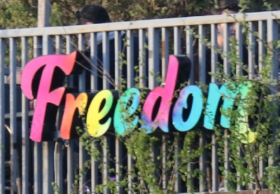 Freedom sijaitsee Töölön kisahallin parkkipaikan reunalla.