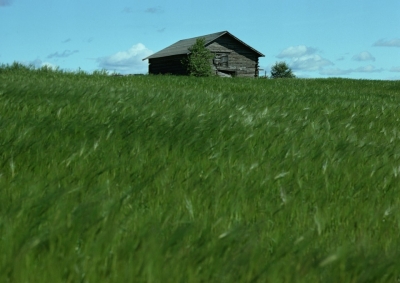 1900-luvulla maatalousvaltainen Suomi kaupungistui. Rakennemuutosten kanssa yhtä matkaa elivät myös asenteet miesten välisiä suhteita kohtaan.