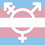 Translakiuudistus ei etene. Puuttuuko riittävä paine hallitusta kohtaan?