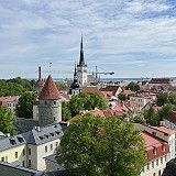 Kierros Virossa