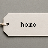 En ole queer – olen homo